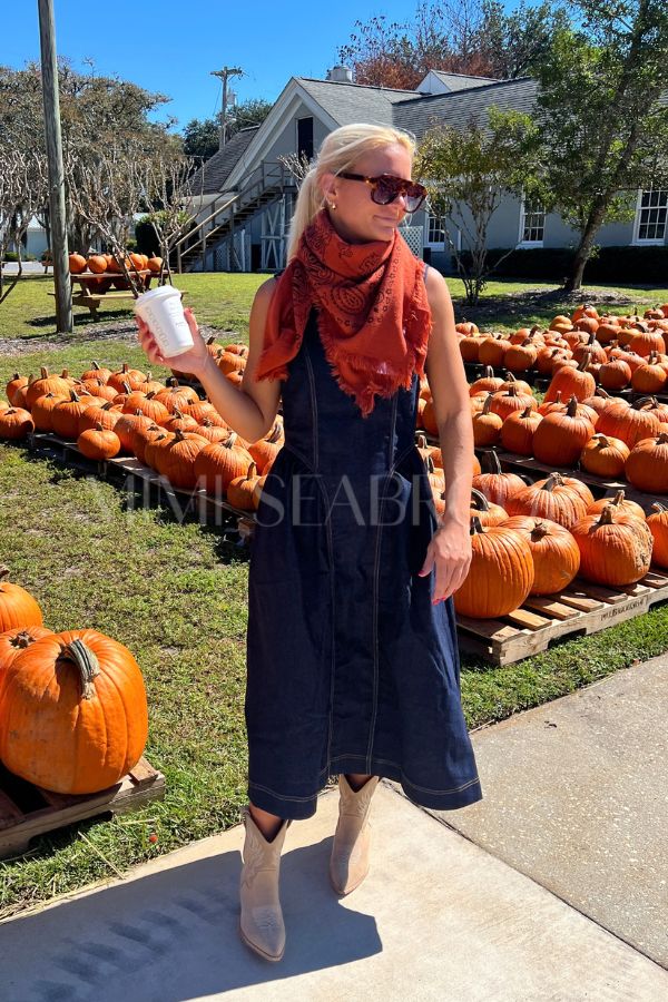 Porter denim dress