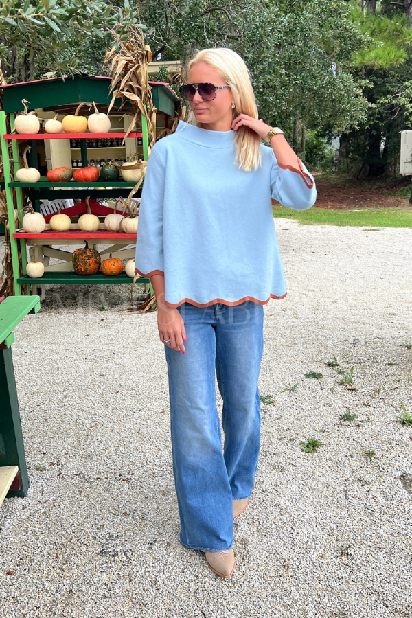 Averi sweater, powder blue/chestnut