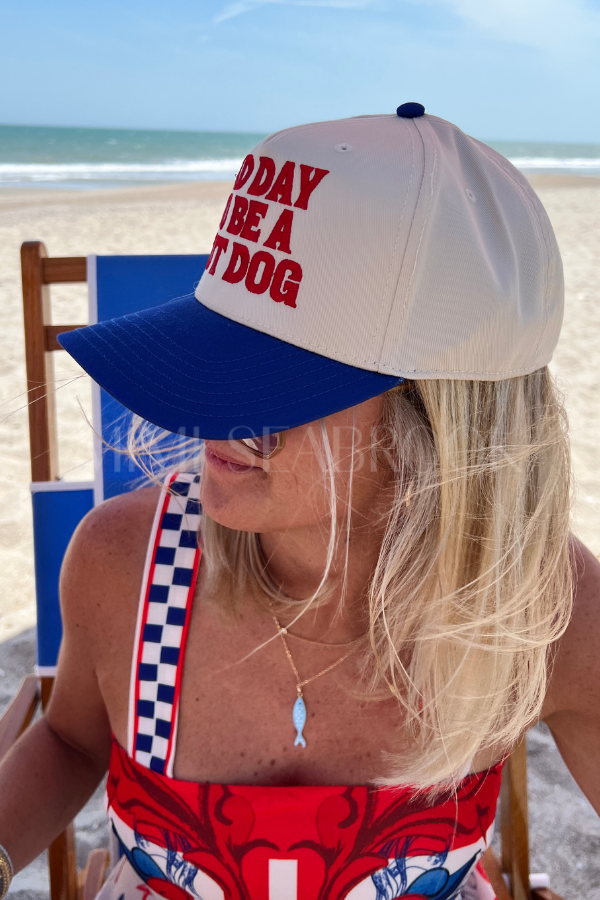 Bad Day to be a Hot Dog hat, blue