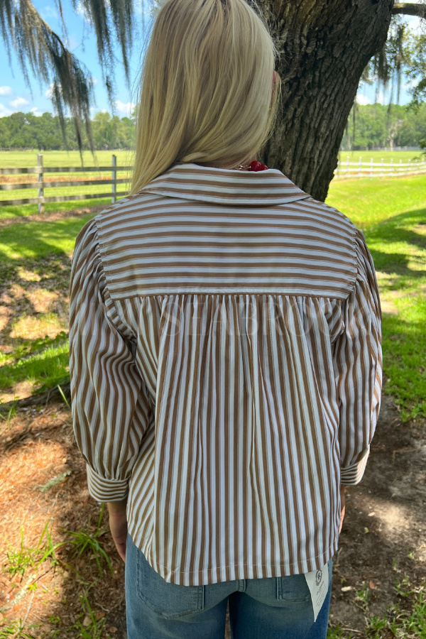 Bassett top, camel
