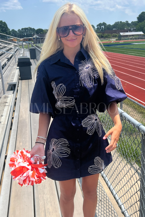 Belden dress, navy