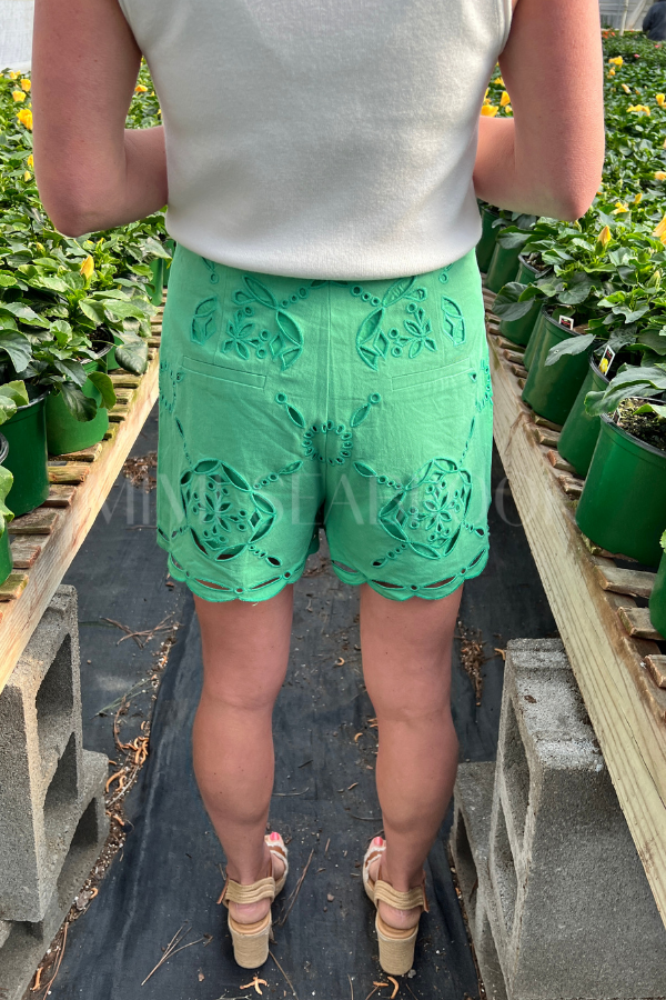 Dion shorts