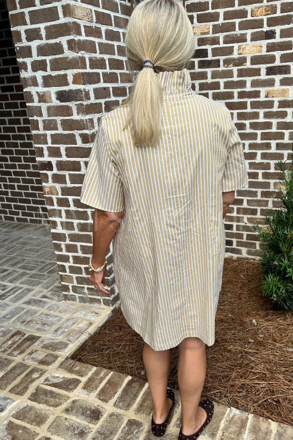 Falyn dress, gold stripe