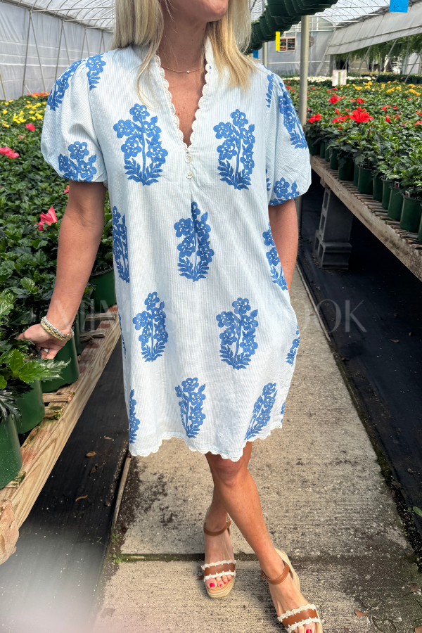 Hamlin dress