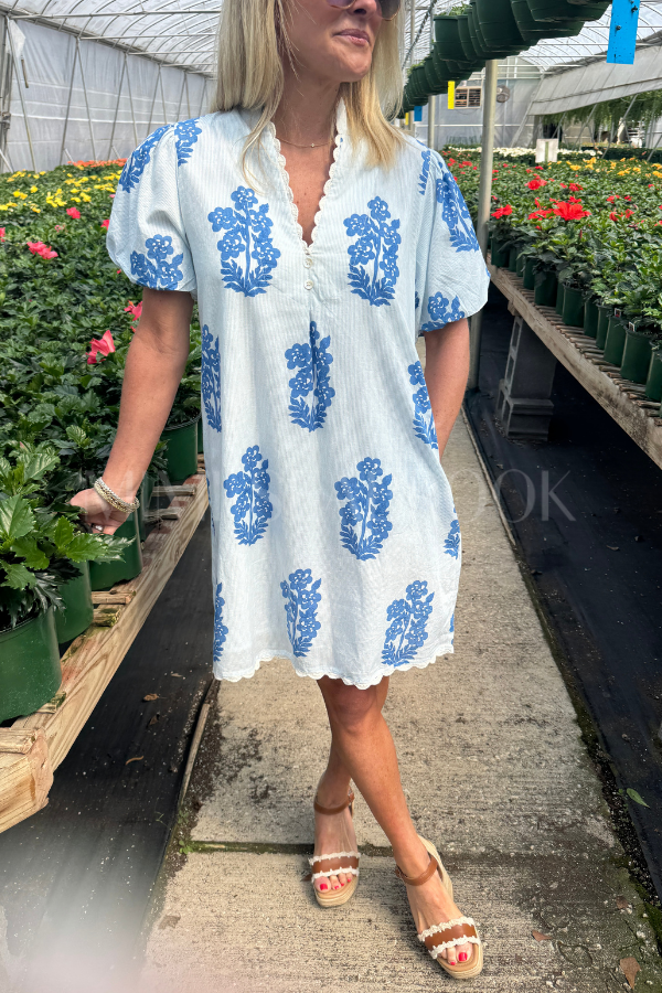 Hamlin dress