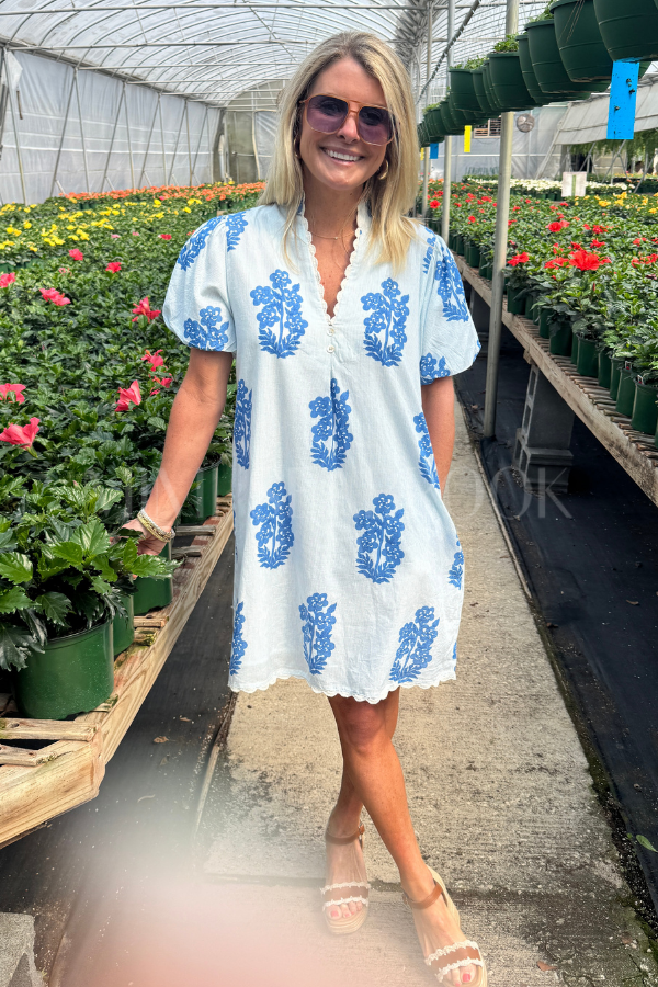 Hamlin dress