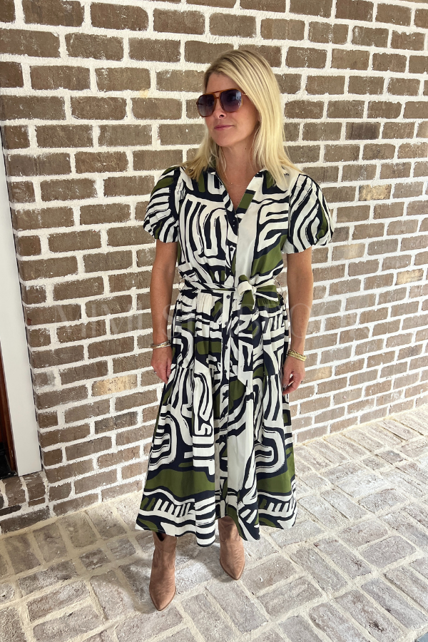 Hobson dress, zebra print