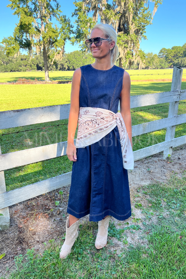 Porter denim dress