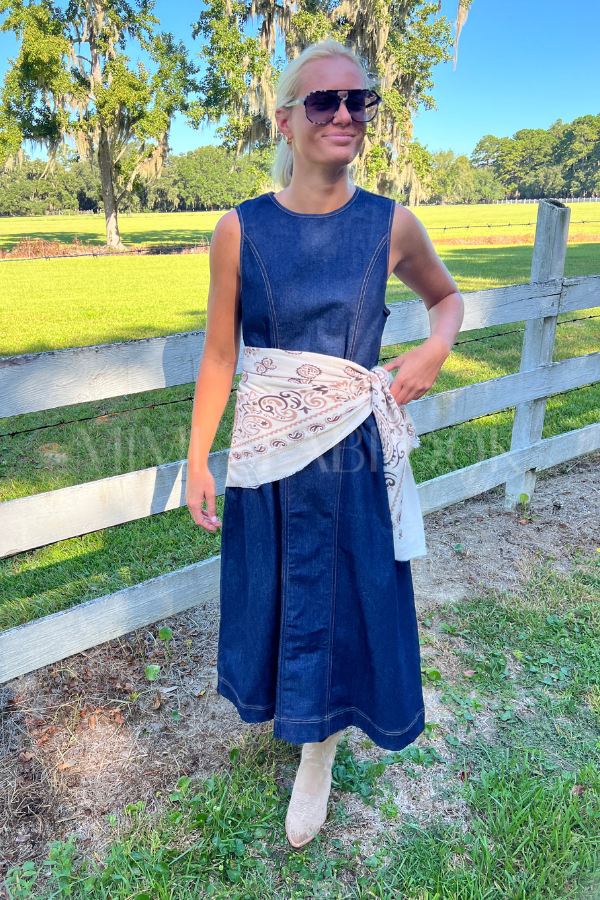 Porter denim dress