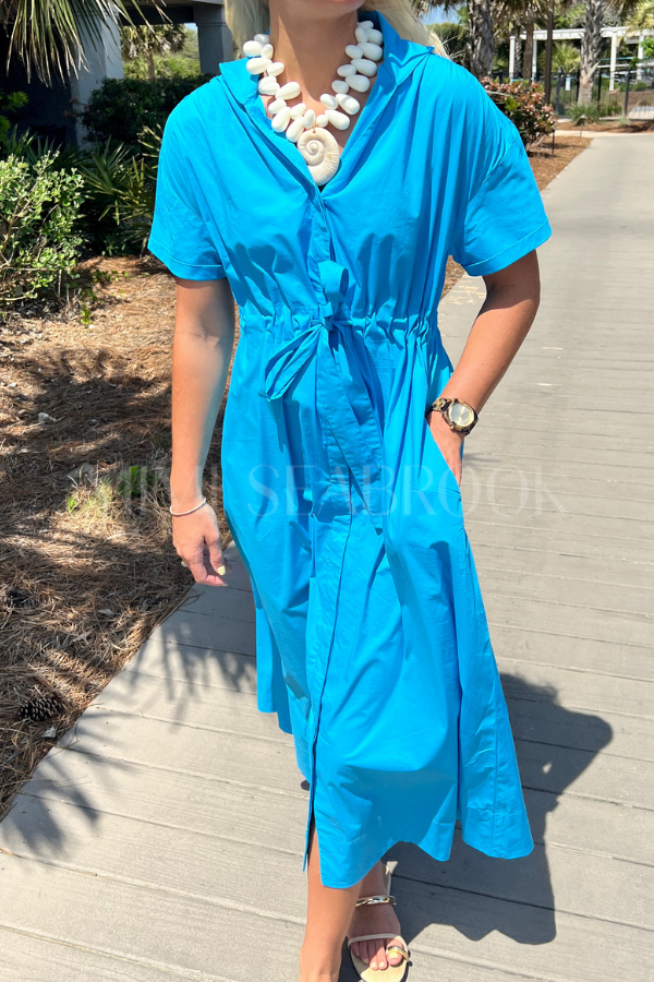 Seymour dress by Holly Shae, blue print