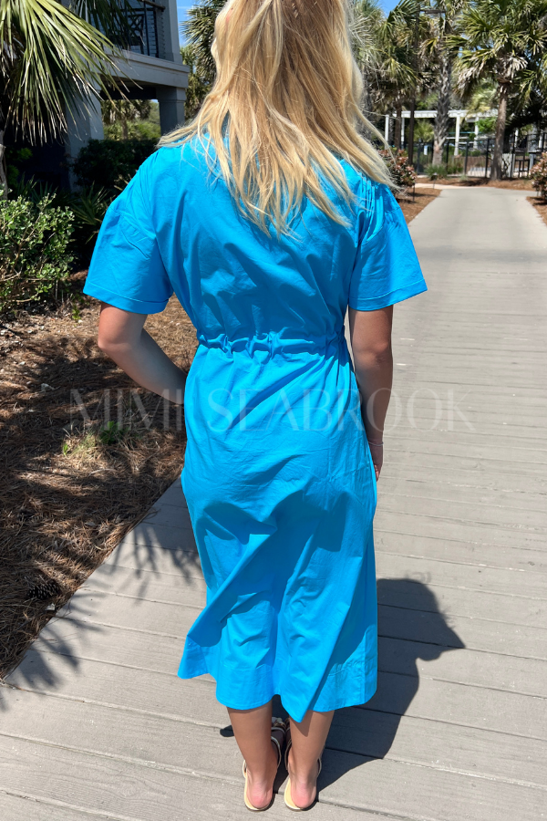 Seymour dress by Holly Shae, blue print