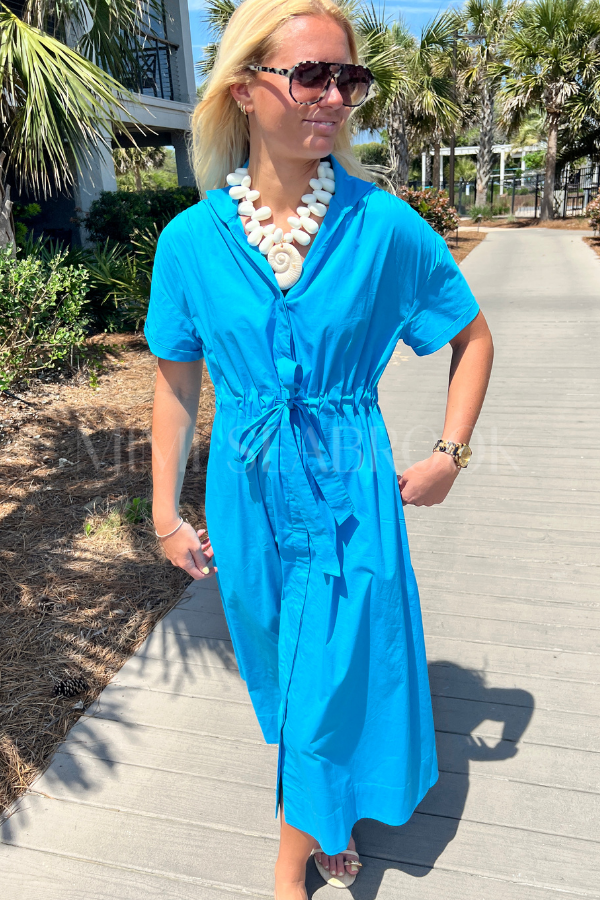 Seymour dress by Holly Shae, blue print