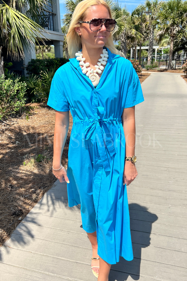Seymour dress by Holly Shae, blue print