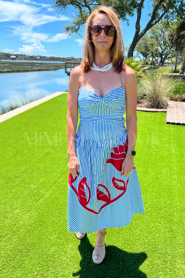 Sky Stripes Midi Dress by Farm Rio