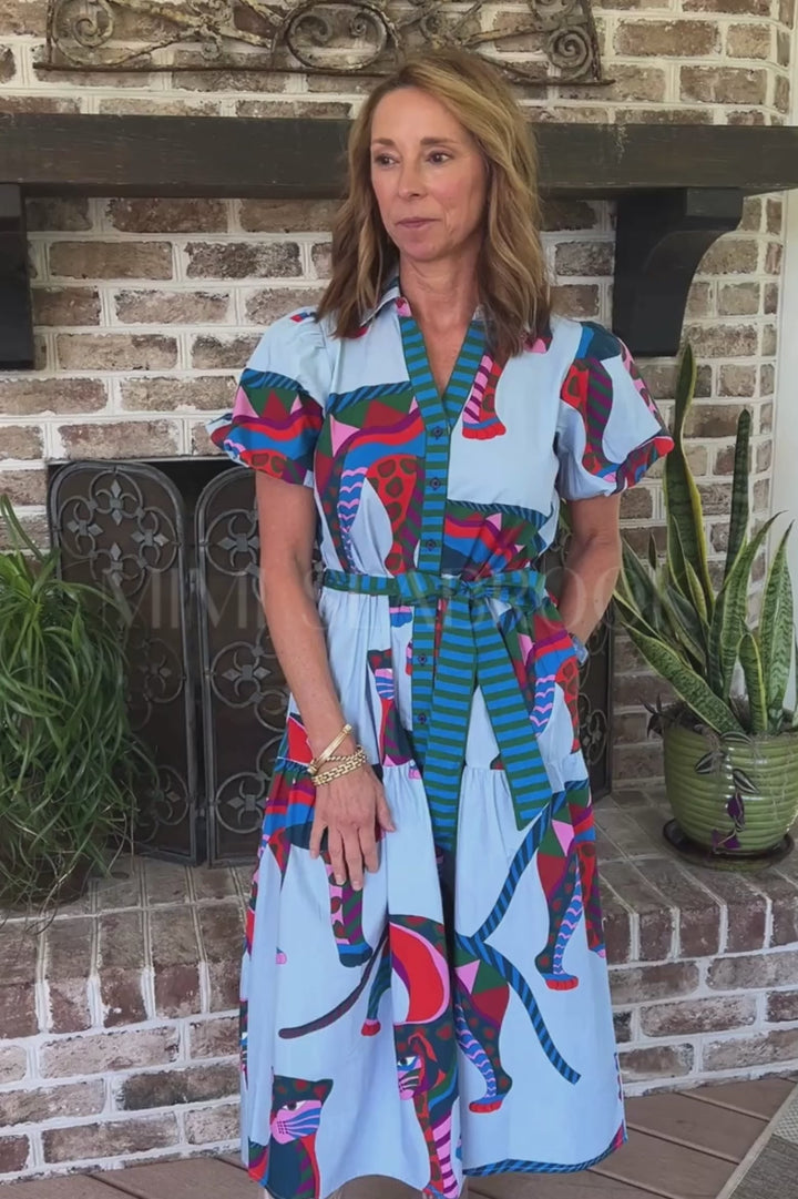 Hobson dress, cheetah print