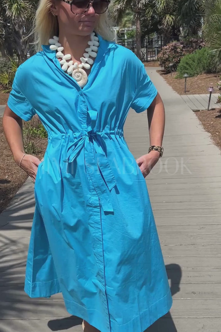 Seymour dress by Holly Shae, blue print
